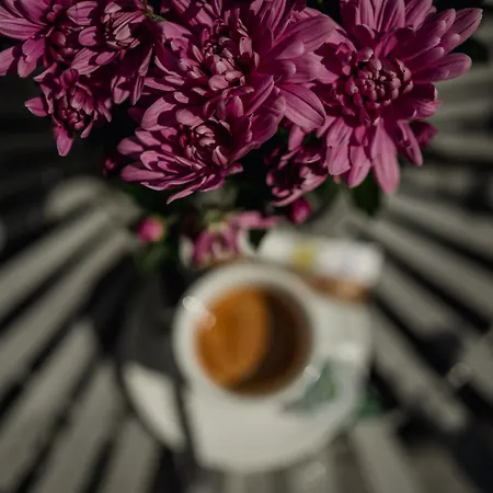 Aristide House Bükreş