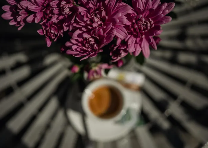 Aristide House Bükreş